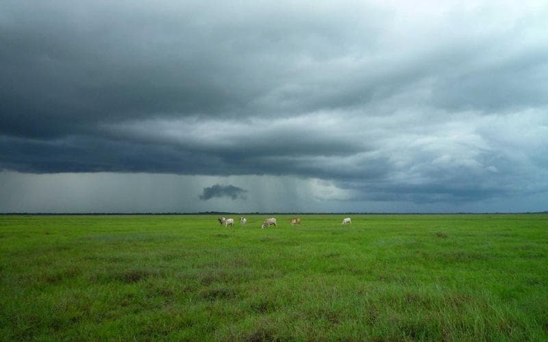 Bidar Farmers Report Better Yields After Monsoon Support