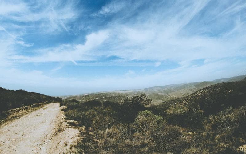 Agriculture Dispatch 5: Field Notes From the Desk