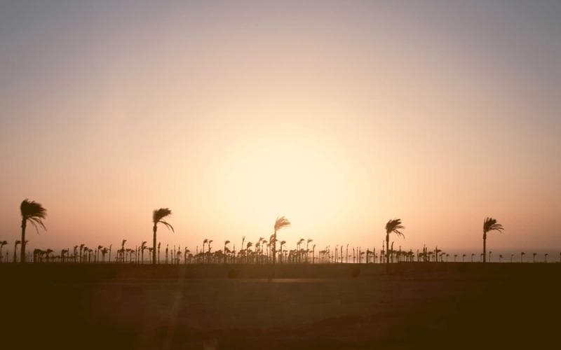 Economy Dispatch 5: Field Notes From the Desk