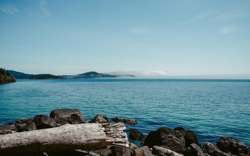 Photo Gallery Dispatch 5: Field Notes From the Desk