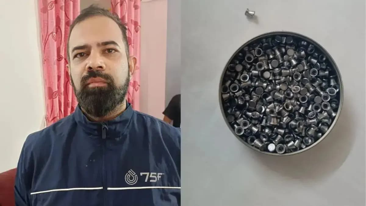 Drunk Bengaluru Techie Fires Air Gun From Balcony For 45 Minutes, Hits Car, Guards